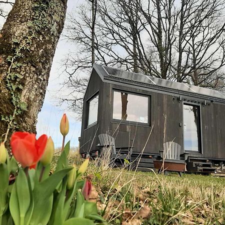 L'Envolee Ecolodge, Tiny House Au Coeur Des Vignes Loches-sur-Ource المظهر الخارجي الصورة