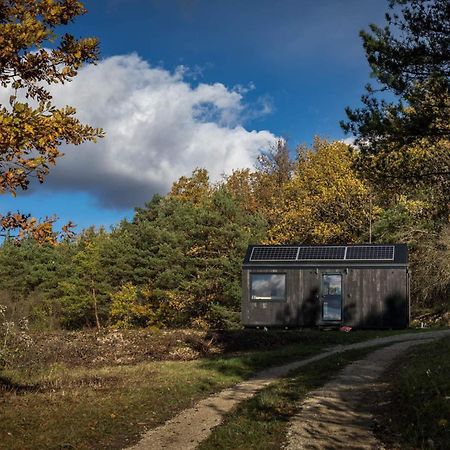 L'Envolee Ecolodge, Tiny House Au Coeur Des Vignes Loches-sur-Ource المظهر الخارجي الصورة